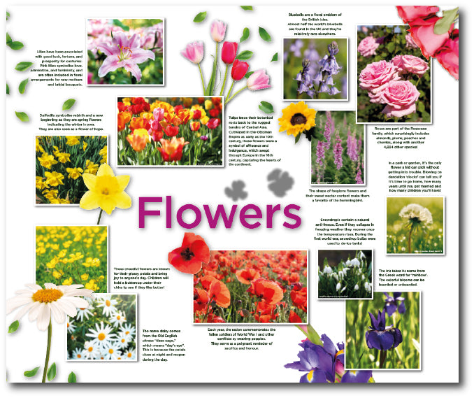 A colourful care home friendly reminiscence destination point display of colourful garden flowers 
