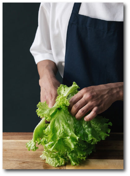 Dementia-friendly reminiscence image of a chef preparing a large, fresh, crispy lettuce,