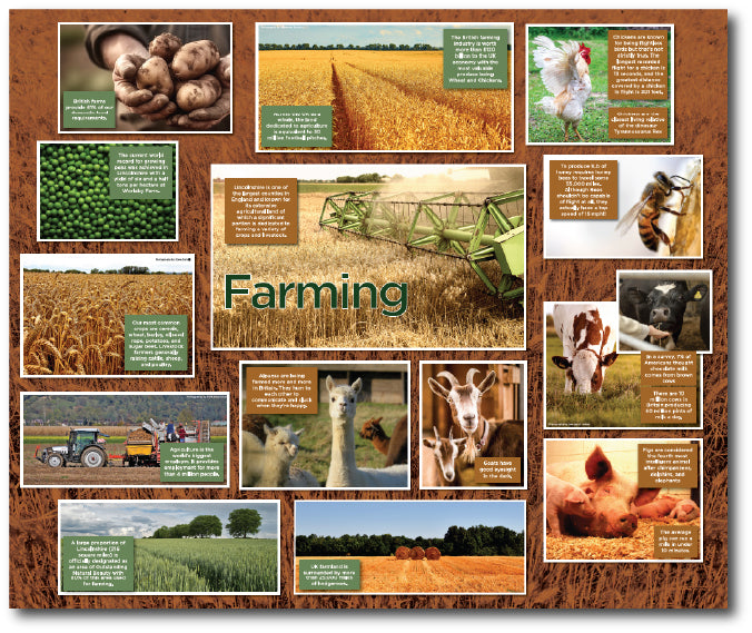 Dementia friendly display board telling the story of Farming with reminiscence images oof animals and produce