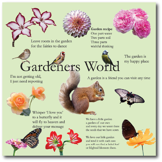 A Gardeners World themed dementia friendly display pictures and poems about things we love in the garden