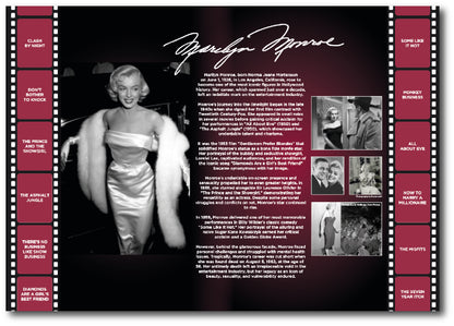 Marilyn Monroe themed reminiscence artwork display for the dementia care home cinema